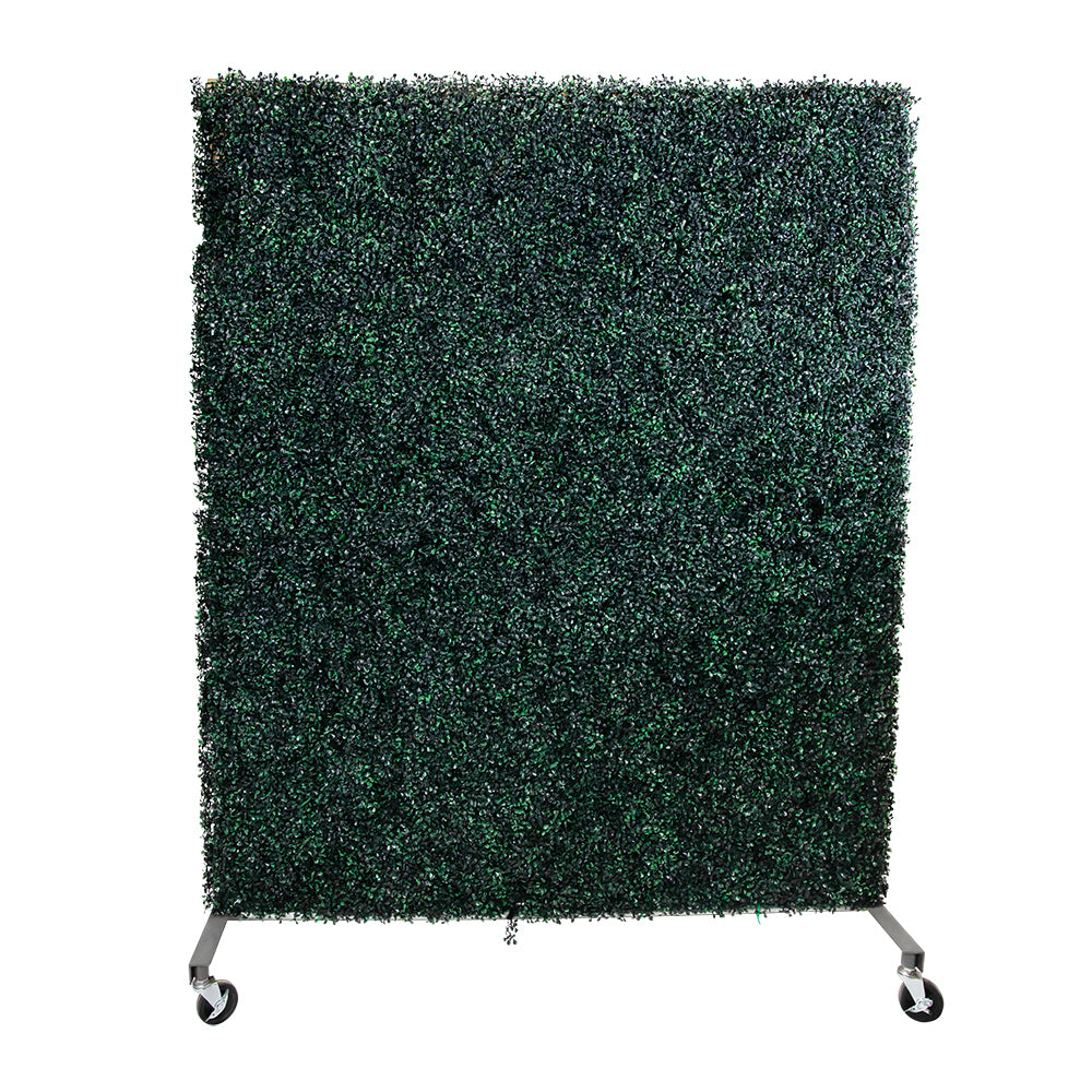 Boxwood Partition